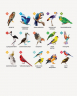 Зоометрія. Дивовижні птахи. Цифрова розмальовка (Укр) Жорж Z101048У (9786177579914) (349890)
