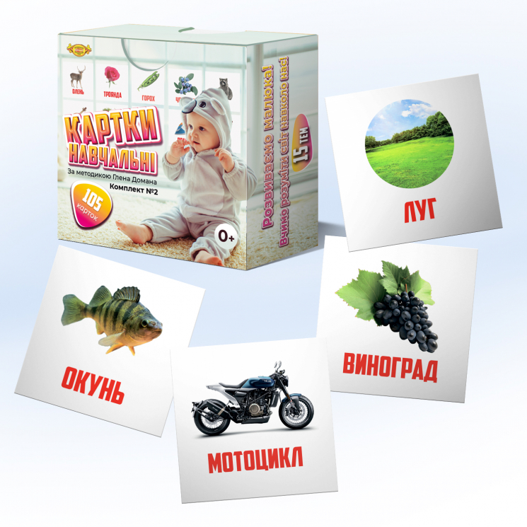 Картки навчальні Глена Домана Комплект 2 (Укр) Майстер МКД0006 (1100060006) (455491)