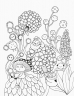 Майже мільйон лінивців. Розмальовка в ілюстраціях. Лулу Майо (Укр) Жорж Z101054У (9786177579983) (348591)