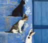 Картина за номерами 35х45 см "Кошенята на сходах" Rosa N00013246 (4823098514084) (400792)