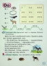НУШ Читання 1 клас. Тренажер з читання. Читаємо швидко і вдумливо – Пономарьова К. (Укр) Оріон (9789669912824) (555896)