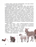 Біологія 7 клас Тварини навколо нас. Шкільна бібліотека. Огієнко С. Л., Трохимчук Р. Р. (Укр) Ранок Г1416006У (9786170967367) (445397)