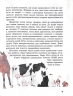 Біологія 7 клас Тварини навколо нас. Шкільна бібліотека. Огієнко С. Л., Трохимчук Р. Р. (Укр) Ранок Г1416006У (9786170967367) (445397)