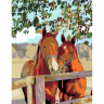 Картина за номерами 35х45 см "Пара коней" Rosa (4823098515722) (400798)
