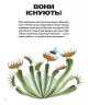 Хто такі хижі рослини? – Олексій Коваленко (Укр) ВСЛ (9789664486344) (565599)